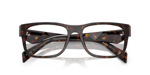 Root Tortoise / Demo Lens (17N1O1)