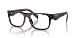 Loden/Black / Demo Lens (19J1O1)