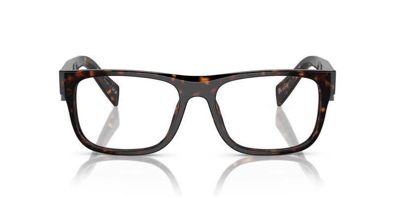 Prada PR 22ZV in Loden/Black - Alternate View