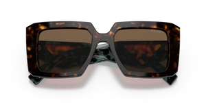 Tortoise / Dark Brown (2AU06B)