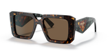 Tortoise / Dark Brown (2AU06B)
