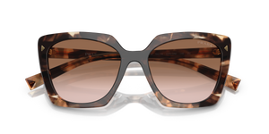 Caramel Tortoise / Brown Gradient (07R0A6)
