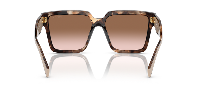 Prada PR 24ZSF in Caramel Tortoise - Temple Detail