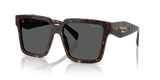 Root Tortoise / Dark Grey (17N40L)