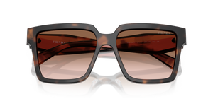Mauve Tortoise / Brown Gradient (23A0A6)