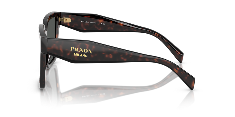 Prada PR 24ZS in Root Tortoise / Dark Grey (17N40L) - Alternate View