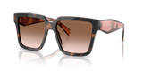 Mauve Tortoise / Brown Gradient (23A0A6)