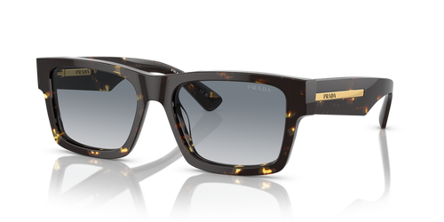 Black Malt Tortoise / Grey Gradient (16R30F)