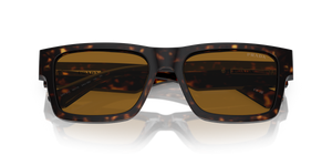 Tortoise / Brown (2AU0B0)