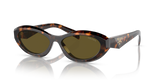 Sage/Honey Tortoise / Dark Brown (14L09Z)