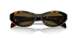 Sage/Honey Tortoise / Dark Brown (14L09Z)