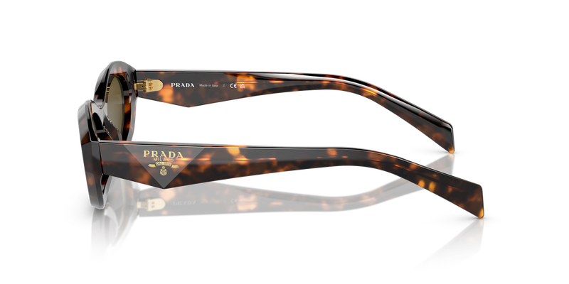 Prada PR 26ZSF in Sage/Honey Tortoise / Dark Brown (14L09Z) - Alternate View