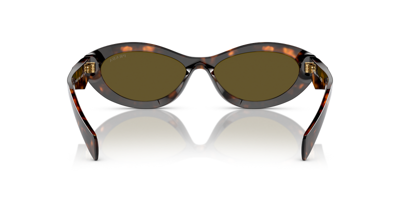 Prada PR 26ZSF in Sage/Honey Tortoise / Dark Brown (14L09Z) - Alternate View