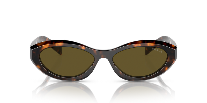 Prada PR 26ZSF in Sage/Honey Tortoise / Dark Brown (14L09Z) - Alternate View