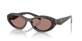 Root Tortoise / Light Brown (17N60B)