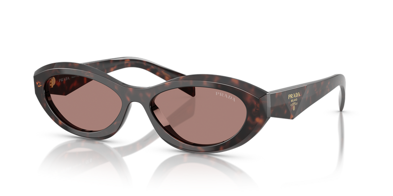 Prada PR 26ZSF in Root Tortoise / Light Brown (17N60B) - Alternate View