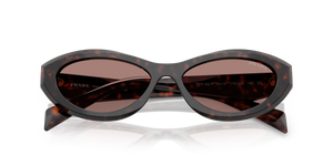 Root Tortoise / Light Brown (17N60B)