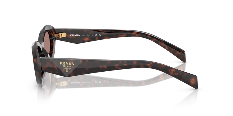 Prada PR 26ZSF in Root Tortoise / Light Brown (17N60B) - Alternate View