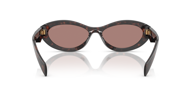 Prada PR 26ZSF in Root Tortoise / Light Brown (17N60B) - Alternate View