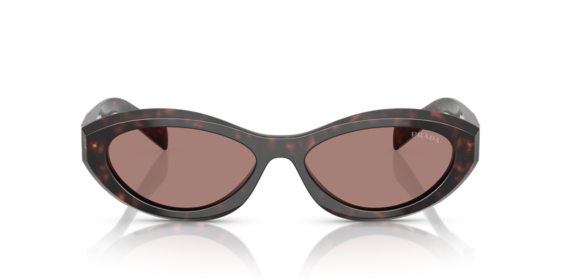 Prada PR 26ZSF in Root Tortoise / Light Brown (17N60B) - Alternate View