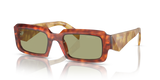 Cognac Tortoise / Green (11P60C)