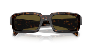 Tortoise / Dark Brown (19J09Z)