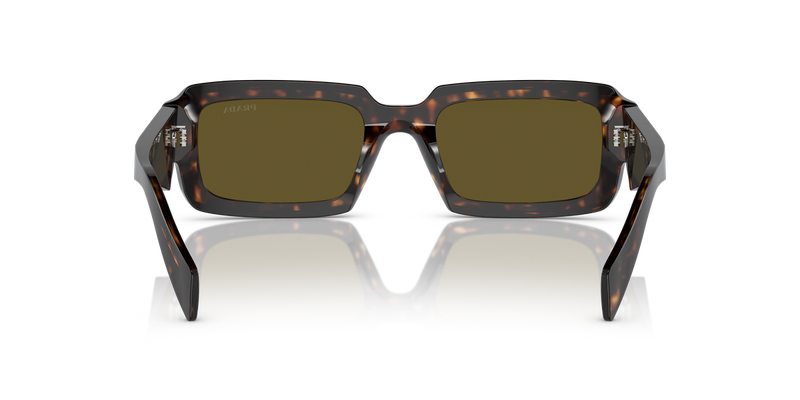 Prada PR 27ZS in Tortoise / Dark Brown (19J09Z) - Alternate View