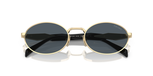 Pale Gold / Dark Grey (ZVN09T)