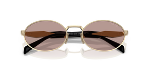 Pale Gold / Light Purple Brown (ZVN20I)