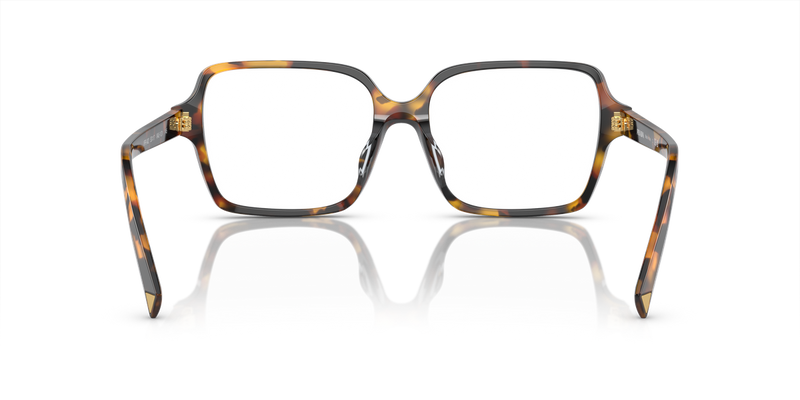 Prada PR A02V in Havana Clear / Demo Lens (VAU1O1) - Alternate View