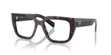 Root Tortoise / Demo Lens (18Z1O1)