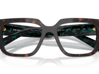 Root Tortoise / Demo Lens (18Z1O1)