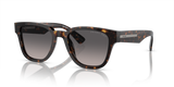 Tortoise / Polarized Grey Gradient (19J09G)