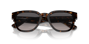 Tortoise / Polarized Grey Gradient (19J09G)