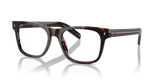 Radica Tortoise / Demo Lens (17N1O1)