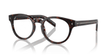 Radica Tortoise / Demo Lens (17N1O1)