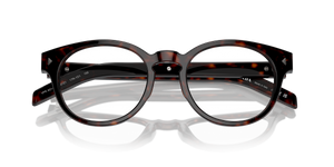 Radica Tortoise / Demo Lens (17N1O1)