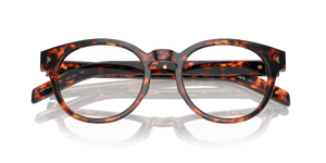 Magma Tortoise / Demo Lens (14O1O1)