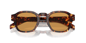 Magma Tortoise / Light Brown Photo (14O60F)