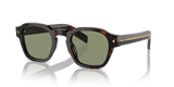 Radica Tortoise / Polarized Green (17N20G)