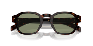 Radica Tortoise / Polarized Green (17N20G)