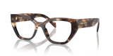 Caramel Tortoise / Demo Lens (14P1O1)