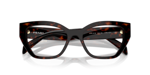 Root Tortoise / Demo Lens (17N1O1)