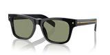 Black / Polarized Green (16K20G)