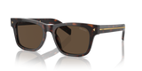 Radica Tortoise / Dark Brown (17N70F)