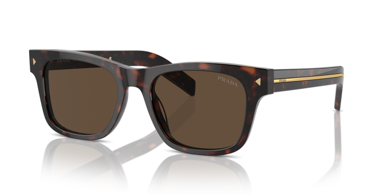 Prada PR A17SF in Radica Tortoise / Dark Brown (17N70F) - Alternate View