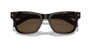 Radica Tortoise / Dark Brown (17N70F)