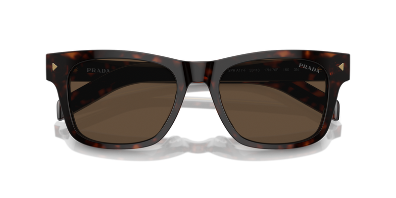 Prada PR A17SF in Radica Tortoise / Dark Brown (17N70F) - Alternate View