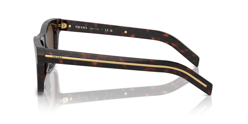 Prada PR A17SF in Radica Tortoise / Dark Brown (17N70F) - Alternate View