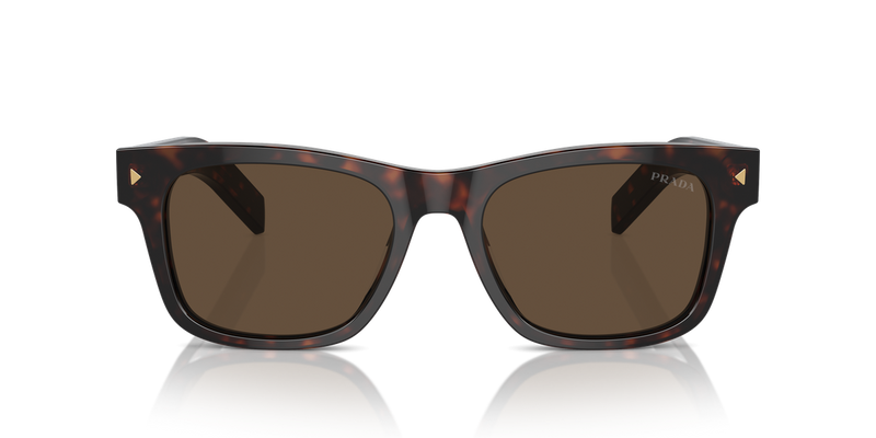 Prada PR A17SF in Radica Tortoise / Dark Brown (17N70F) - Alternate View